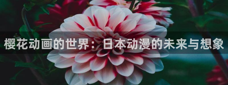 stagenehind韩漫免费观看：樱花动画的世界：日本动漫的未来与想象