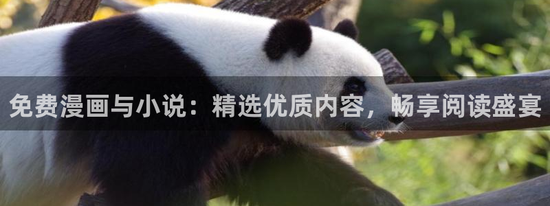樱花动漫樱花：免费漫画与小说：精选优质内容，畅享阅读盛宴