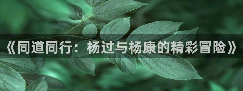 colamanage漫画官网：《同道同行：杨过与杨康的精彩冒险》