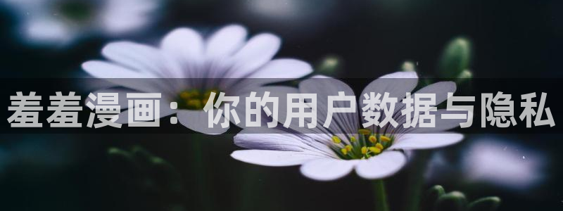 樱花动漫网上看：羞羞漫画：你的用户数据与隐私