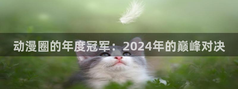 colamanage漫画官网：动漫圈的年度冠军：2024年的巅峰对决