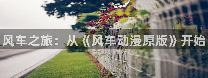 樱花动漫网上看：风车之旅：从《风车动漫原版》开始