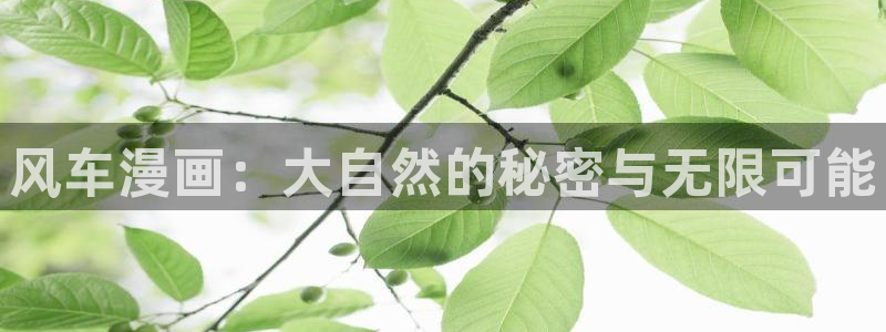 colamanage漫画下载：风车漫画：大自然的秘密与无限可能