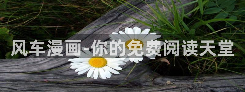 拷贝漫画 copymanager.ory网站：风车漫画-你的免费阅读天堂