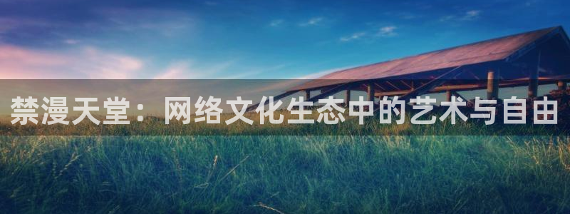 韩国漫画平台kakaopage：禁漫天堂：网络文化生态中的艺术与自由