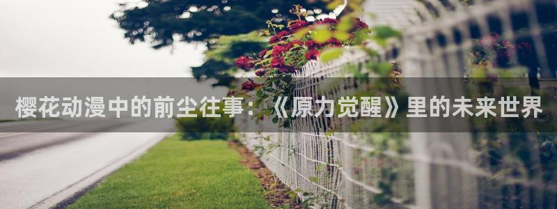 樱花动漫omofun：樱花动漫中的前尘往事：《原力觉醒》里的未来世界